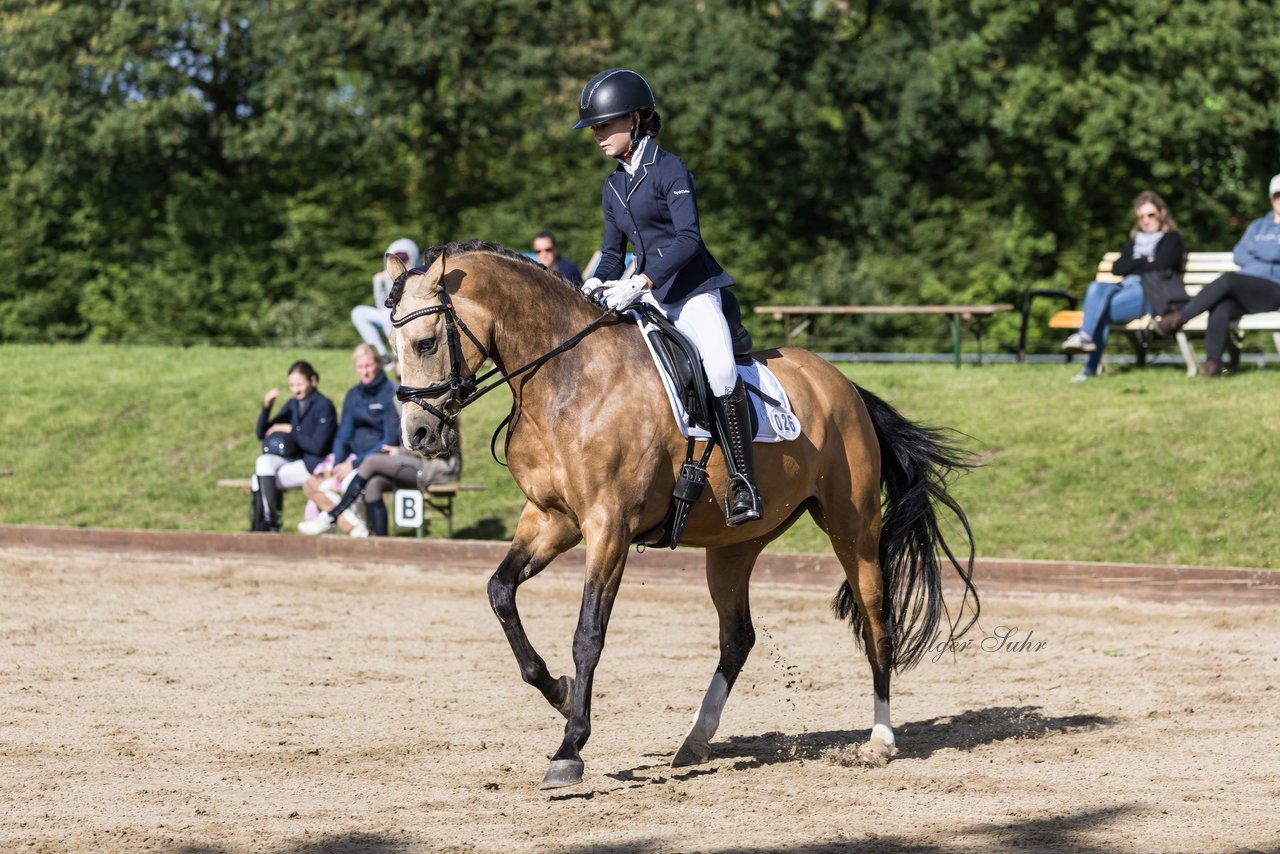 Bild 521 - Pony Akademie Turnier